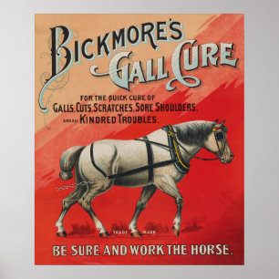 Vintage advertentie voor Bickmore's Gall Cure voor Poster
