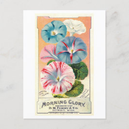 Vintage advertentie voor Ferry & Co. Morning Glory Briefkaart