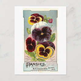 Vintage advertentie voor Ferry & Co. Pansy Seeds Briefkaart