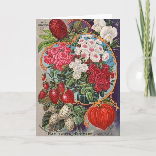 Vintage-advertentie voor zaadpakketten, kaart (Voorkant)