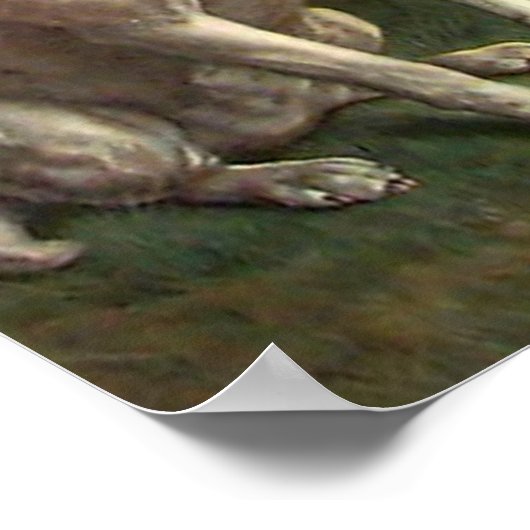 Vintage Afbeelding Poster (Hoek)