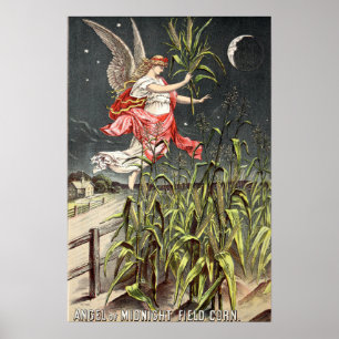 Vintage-afbeelding uit de 1886-zaadcatalogus poster