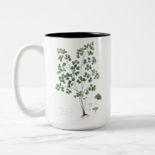 Vintage Afbeelding van Venushaar Botanische Illust Tweekleurige Koffiemok