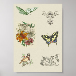 Vintage afdrukbare scrapbooking Afbeeldingen Poster