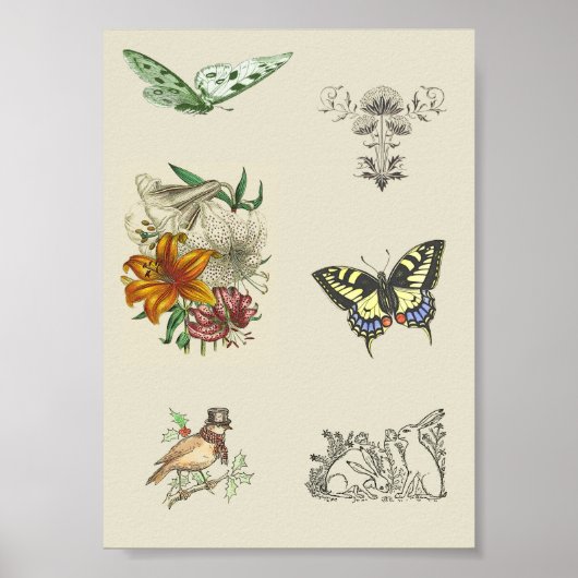 Vintage afdrukbare scrapbooking Afbeeldingen Poster (Voorkant)