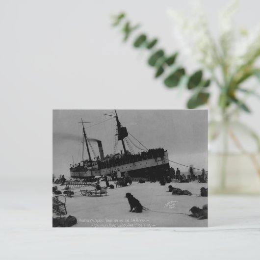 Vintage Alaska Briefkaart (Staand voorkant)