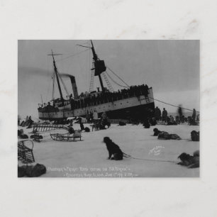 Vintage Alaska Briefkaart