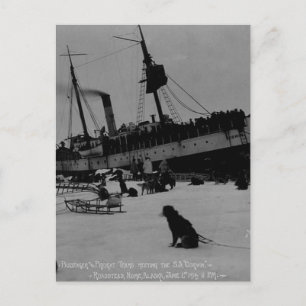 Vintage Alaska Briefkaart