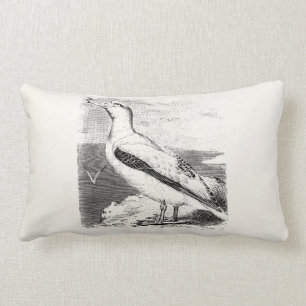 Vintage Albatross Seagull Zee Gull Gulls Seabird Kussen
