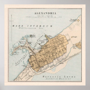 Vintage Alexandrië Egypt Map (1874) Poster