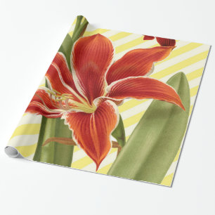 Vintage Amaryllis Cadeaupapier