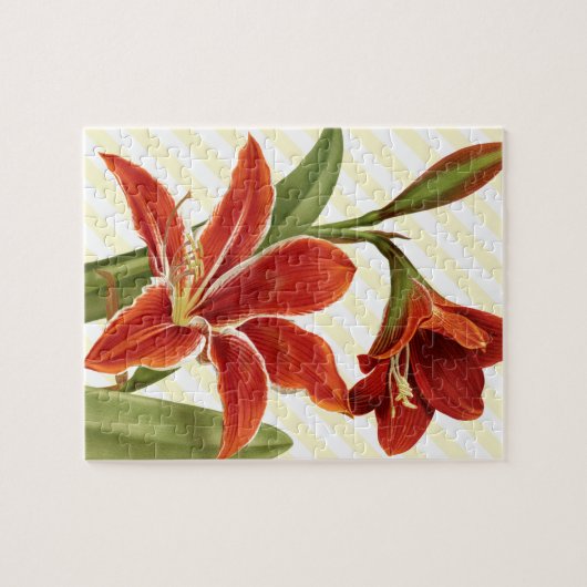 Vintage Amaryllis Legpuzzel (Horizontaal)