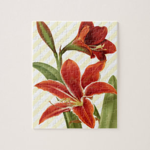Vintage Amaryllis Legpuzzel