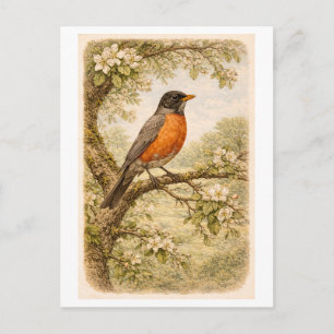 Vintage Amerikaanse Roodborst-illustratie Briefkaart