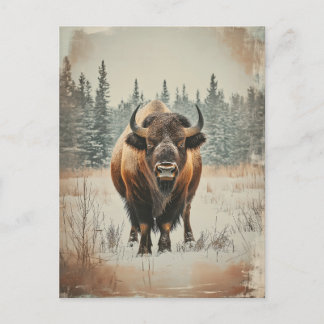 Vintage Amerikanischer Büffel Bison im Winter Briefkaart