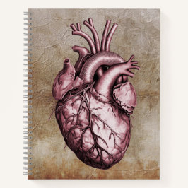 Vintage anatomical illustration of the human heart notitieboek