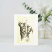 Vintage Anatomie | AchterSpieren (circa 1852) Briefkaart (Staand voorkant)