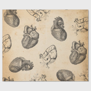 Vintage Anatomie Cadeaupapier
