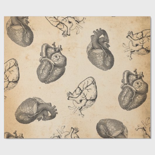 Vintage Anatomie Cadeaupapier (Vlak)
