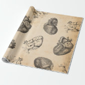 Vintage Anatomie Cadeaupapier (Uitgerold)