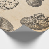 Vintage Anatomie Cadeaupapier (Hoek)