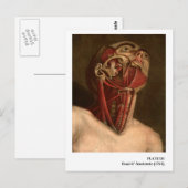 Vintage Anatomie | Hoofd en Hals Briefkaart (Voorkant / Achterkant)