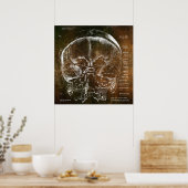 Vintage Anatomie Poster (Keuken)
