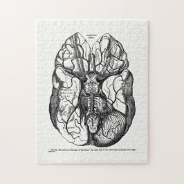 Vintage Anatomy Art Arteries of the Human Brain Legpuzzel