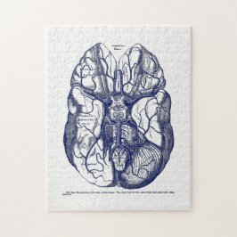 Vintage Anatomy Arteries of the Human Brain Navy Legpuzzel