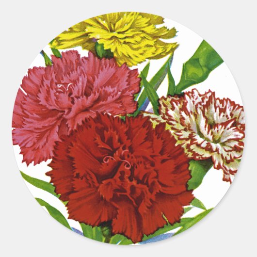 Vintage-anjer-zaadpakket Ronde Sticker (Voorkant)
