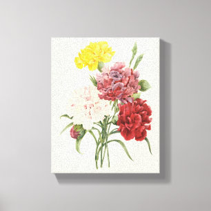 Vintage Anjers Dianthus Tuin Bloemen Redoute Canvas Afdruk
