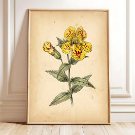 Vintage Apenbloem Kunst aan de Muur, Canvas Poster