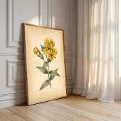 Vintage Apenbloem Kunst aan de Muur, Canvas Poster