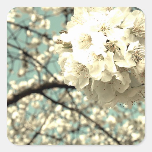 Vintage Apfelblüte Vierkante Sticker (Voorkant)