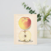 Vintage Apple Briefkaart (Staand voorkant)