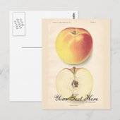 Vintage Apple Briefkaart (Voorkant / Achterkant)