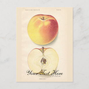 Vintage Apple Briefkaart