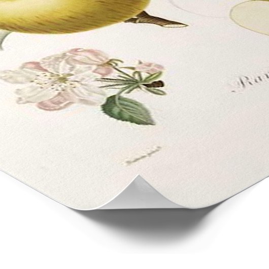 Vintage Apple Poster (Hoek)