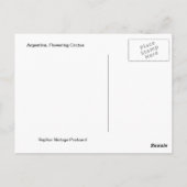 Vintage Argentina, Flowering Cactus Briefkaart (Achterkant)