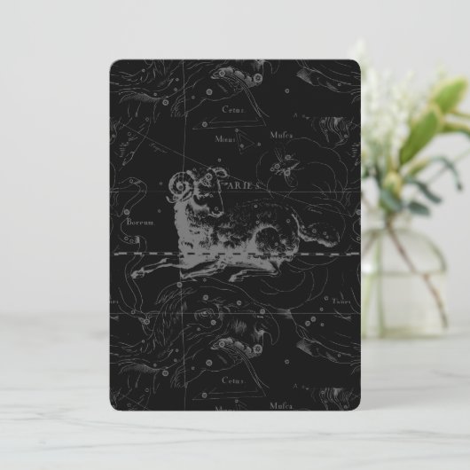 Vintage Aries Sign Constellation Hevelius 1690 (Staand voorkant)
