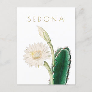 Vintage Arizona-bloem, midden eeuw Briefkaart