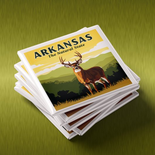 Vintage Arkansas Magneet