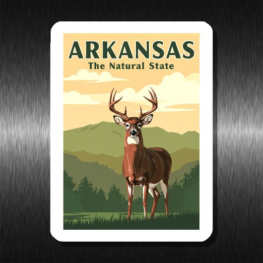 Vintage Arkansas Magneet