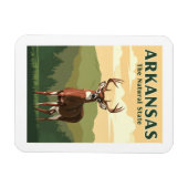 Vintage Arkansas Magneet (Horizontaal)