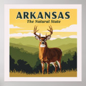 Vintage Arkansas Poster (Voorkant)