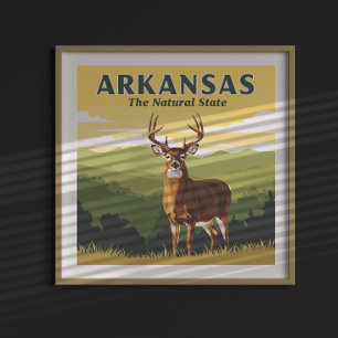 Vintage Arkansas Poster