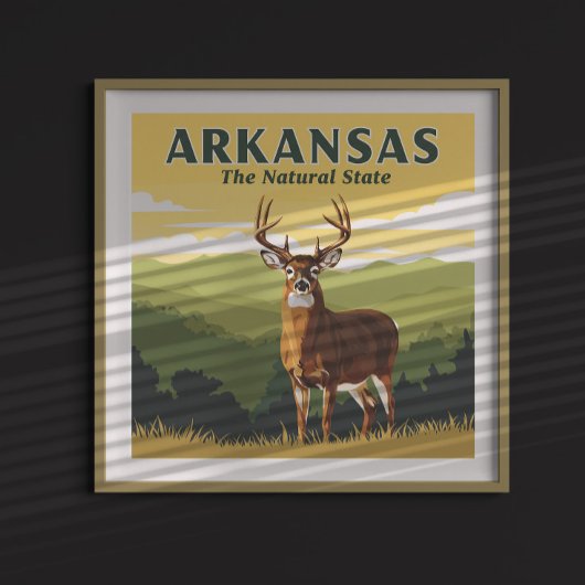 Vintage Arkansas Poster