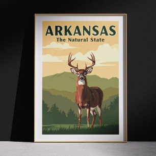 Vintage Arkansas Poster