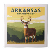 Vintage Arkansas Tegeltje (Voorkant)