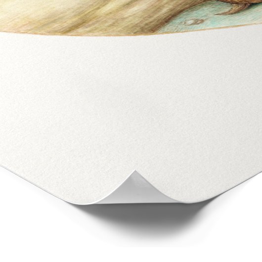 Vintage Armadillo Illustration Poster (Hoek)